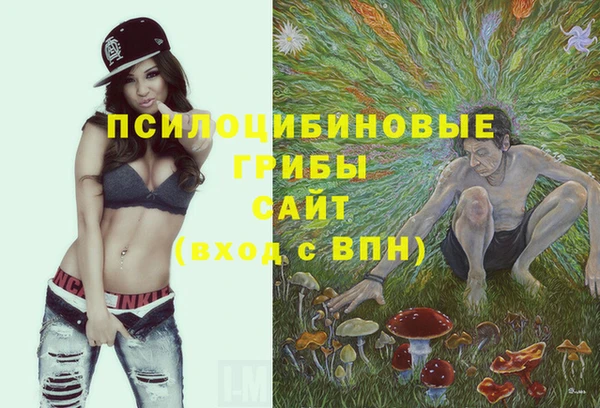 шишки Зеленодольск