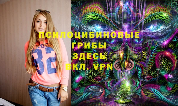 кокаин премиум Заводоуковск