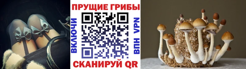 Галлюциногенные грибы ЛСД  Купить  Семилуки 